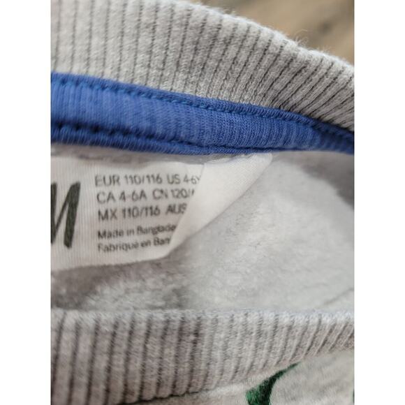 H&M Boy Dinosaur Gray Sweatshirt‎ size 4-6 year old #5 - Picture 3 of 3